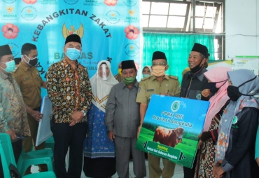MUI Provinsi Bengkulu Terima Sapi Qurban dari Gubernur Rohidin