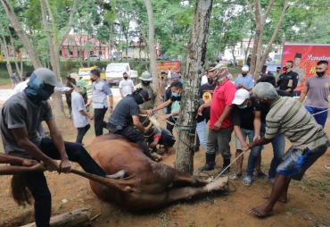 Idul Adha 1441 H Polda Kepri Qurban Belasan Kambing dan Sapi
