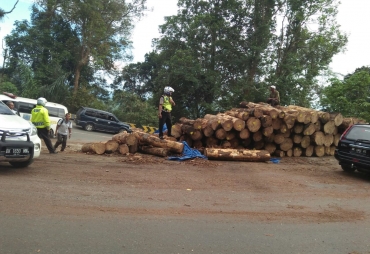 Truk Terbalik,Kayu Glondongan Mulai Dievakuasi 