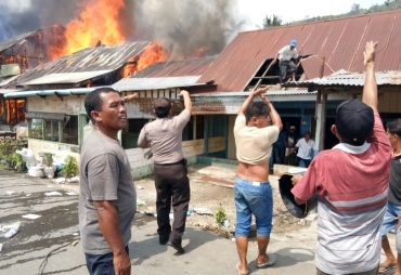 Sijago Merah Mengamuk 