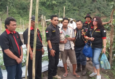 Penyerahan bantuan benih tomat di lahan pertanian desa perbaji oleh jajaran pengurus DPD PMS Karo.