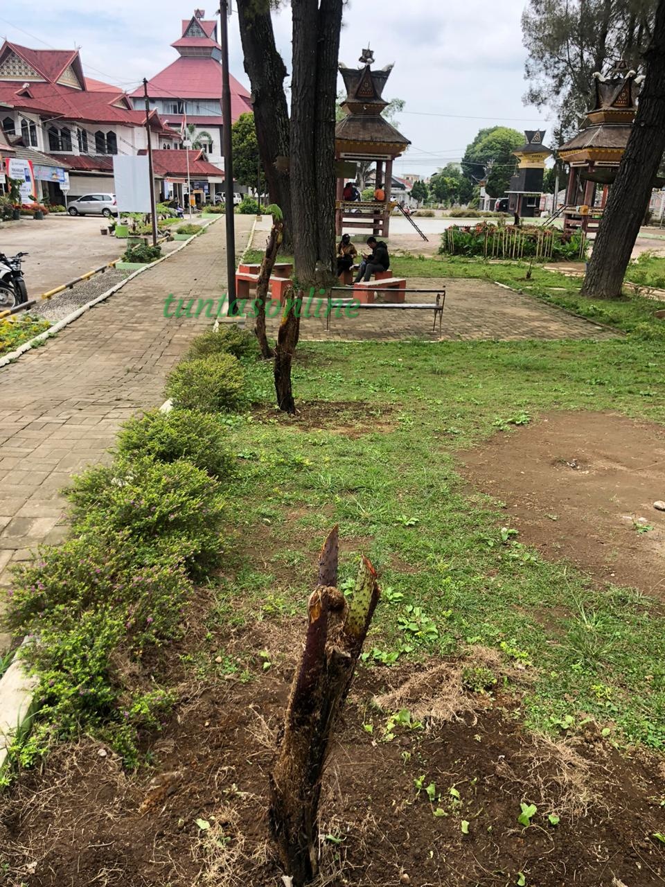 Perindah RTH Bupati Karo Apresiasi Distan dan PUPR