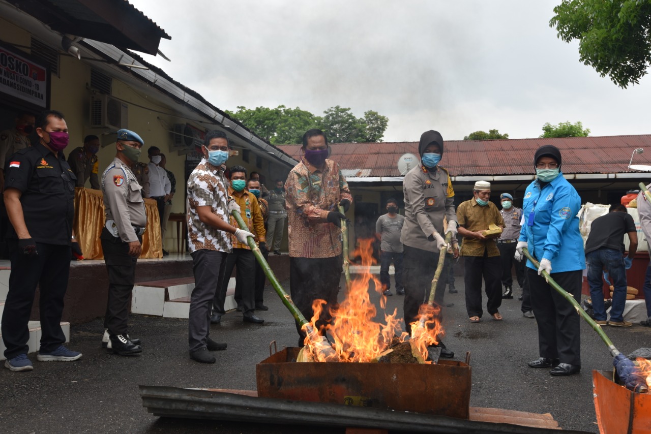Polres Sidimpuan Musnahkan 249 Kilogram Ganja Kering