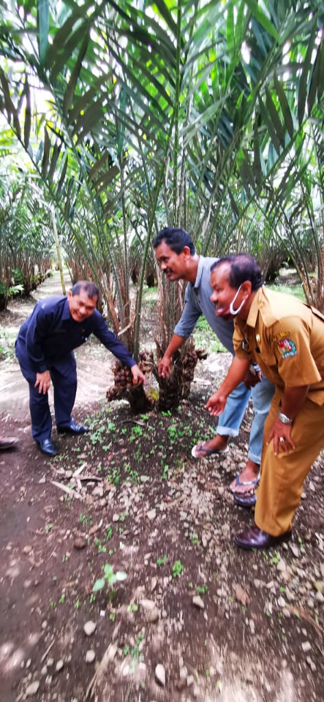 Bupati Karo Apresiasi Semangat Petani Salak