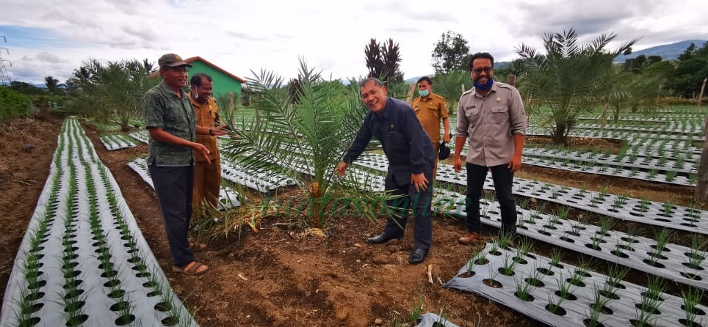 Bupati Karo Cek Ladang Warga di Jalur Laharan Lau Bakerah