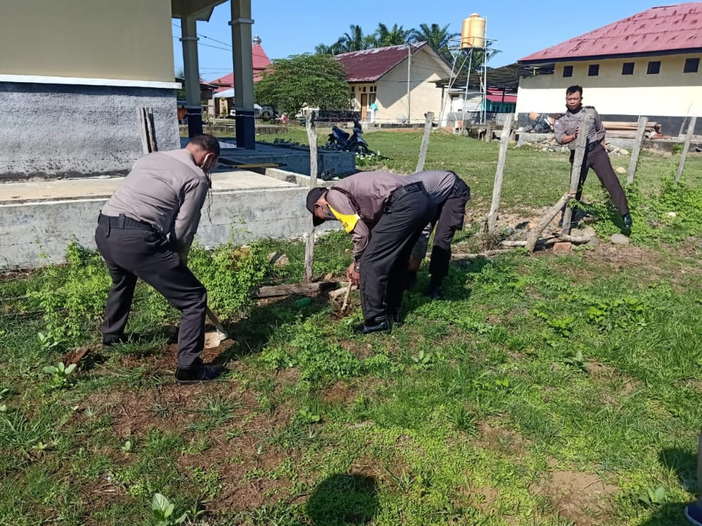 Manfaatkan Lahan Kosong Polsek Muko-muko Utara Dukung Program Ketahanan Pangan
