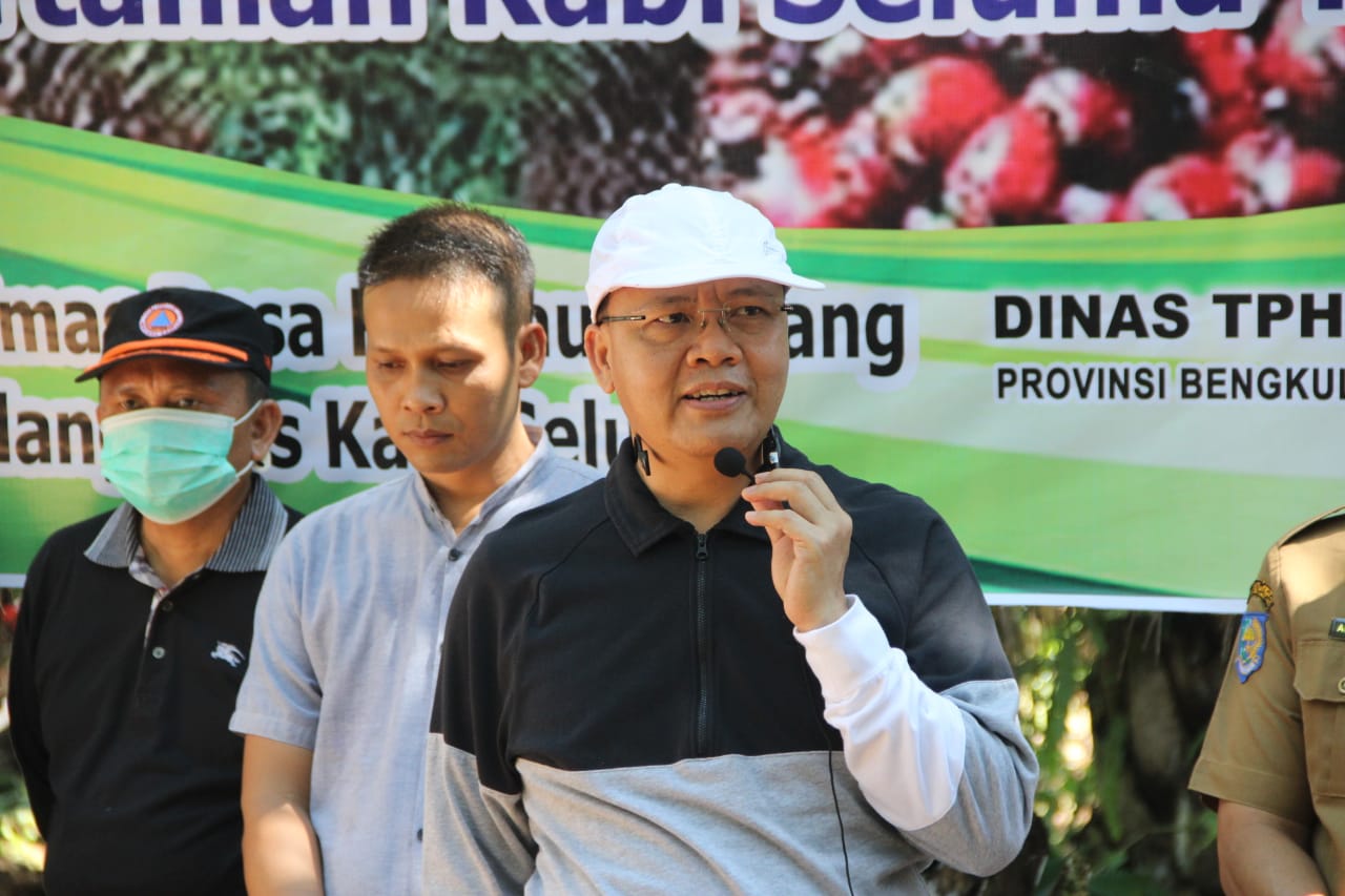 Peroleh Kuota 15.000 Ha Gubernur Rohidin Dorong Produksi Kelapa Sawit