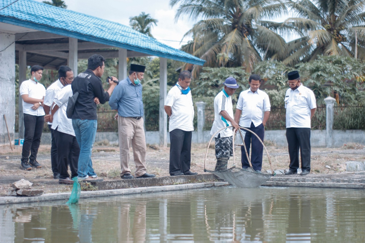 Walikota Sidimpuan Tinjau UPTD Perbenihan Ikan