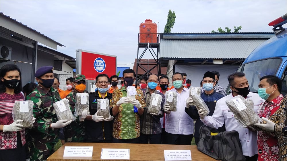 BNNP Bengkulu Musnakan Belasan Kilo Ganja dan Ratusan Gram Shabu