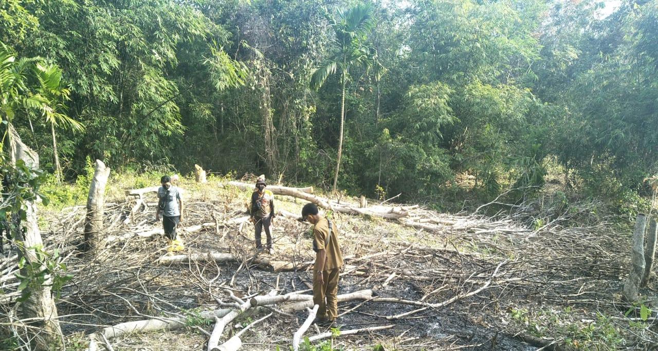 rsonil Polsek Kaur Selatan dan Kades Cek Titik Api di Hutan Desa Cucupan