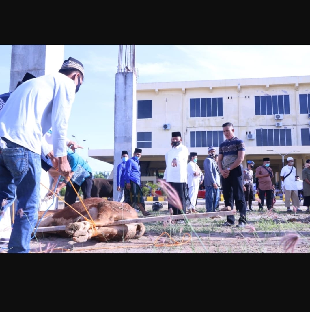 Qurban 23 Hewan Kapolda Bengkulu Ingatkan Personil Teladani Nabi
