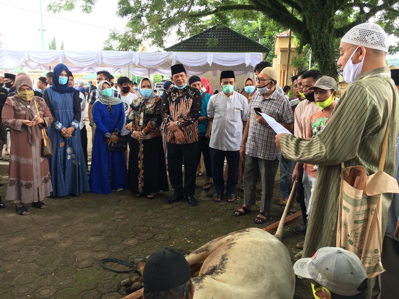 Idul Adha Pemkot Padangsidimpuan Sembelih 9 Ekor Hewan Kurban