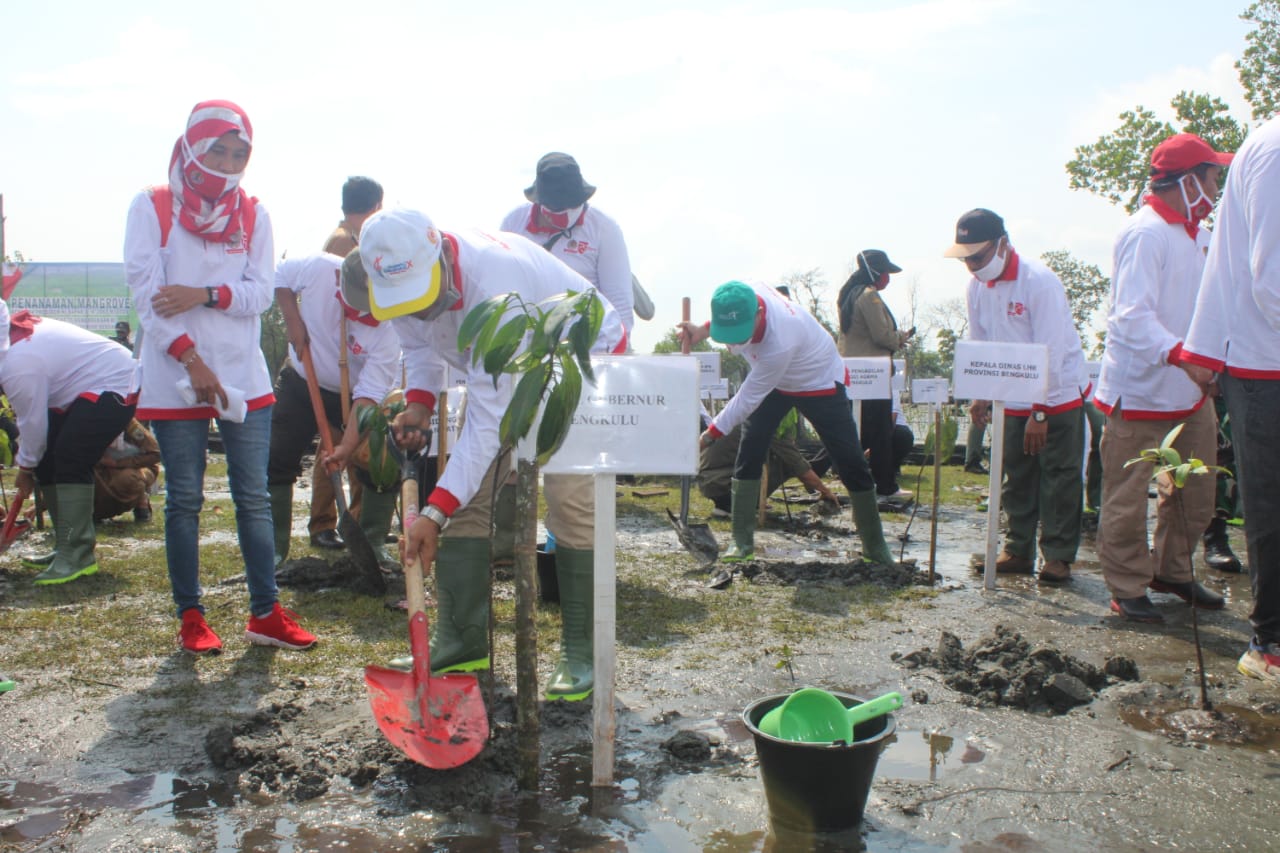 Peringatan Hari Mangrove Wagub Paparkan Upaya Rehabilitasi dan Restorasi