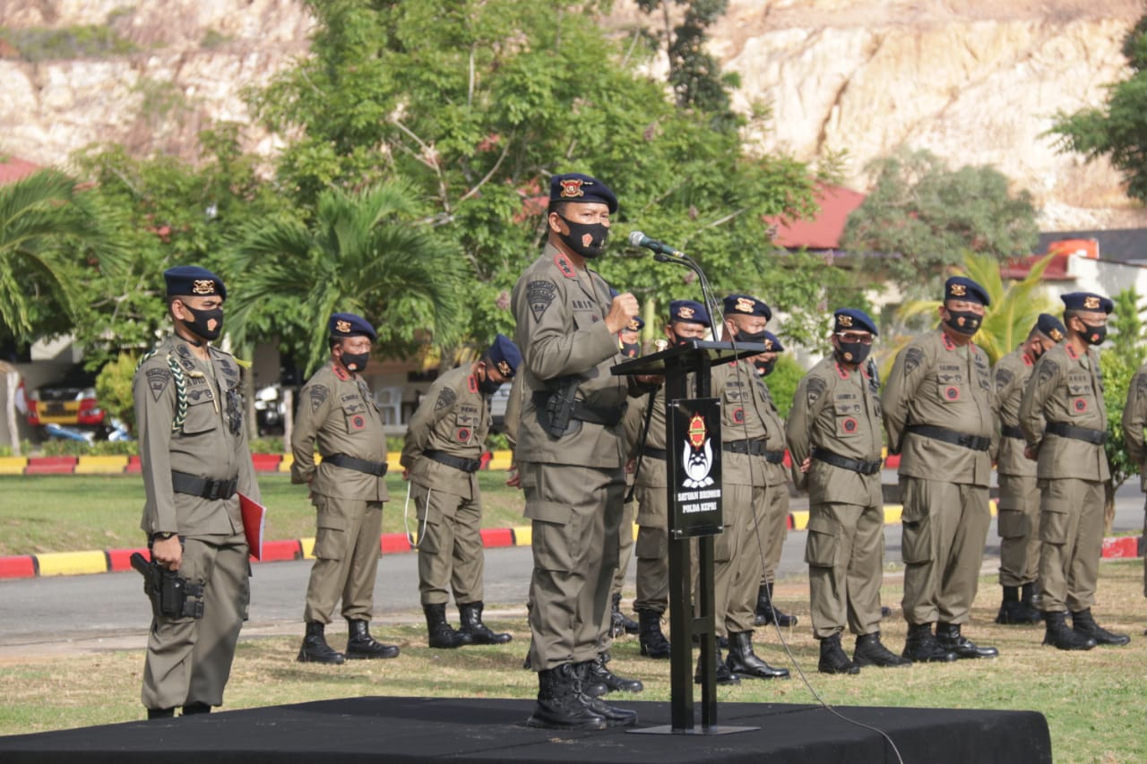 Kapolda Kepri Lepas 100 Personil Sat Brimob ke Papua