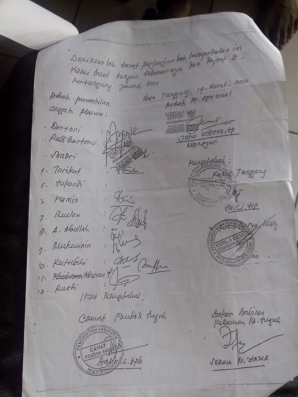 Menyoal Perjanjian PT Agricinal Tunggang Bergejolak