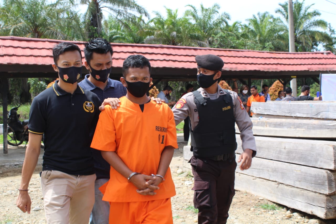 Polres Mukomuko Berhasil Bongkar Kasus Illegal Logging 