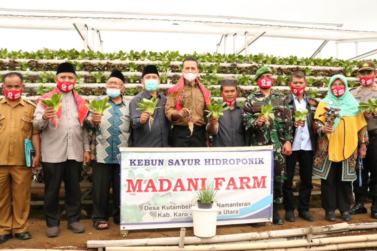 Wagubsu Hadiri Panen Perdana Tanaman Hidroponik