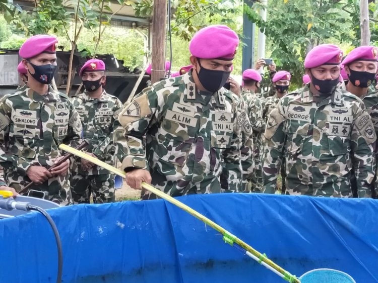 HUT Ke-75 Batalyon Infanteri 10 Marinir Gelar Panen Udang