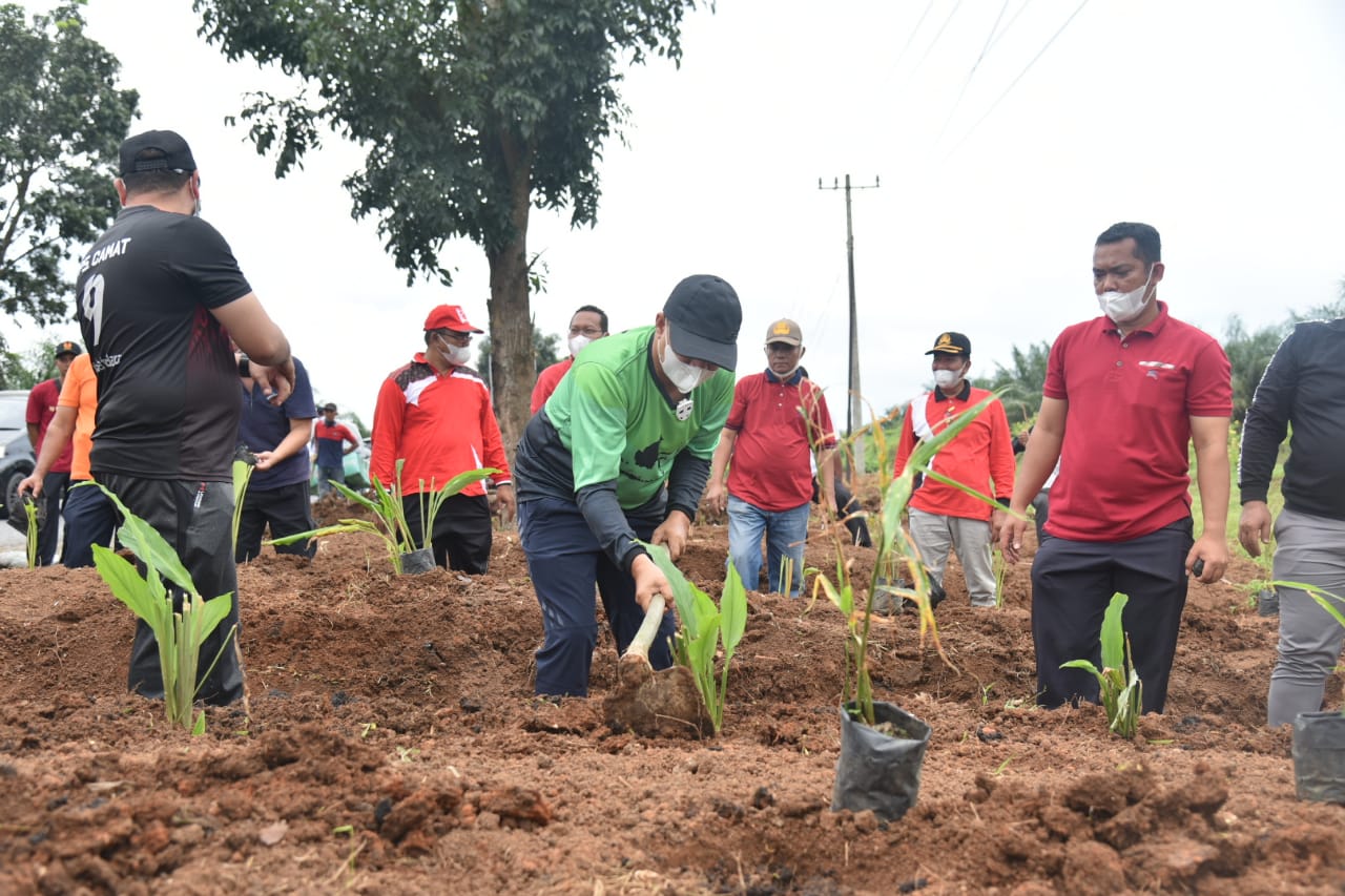 Bupati Batu Bara Giatkan Gotong Royong dan Penanaman Pohon Pendamping Beras