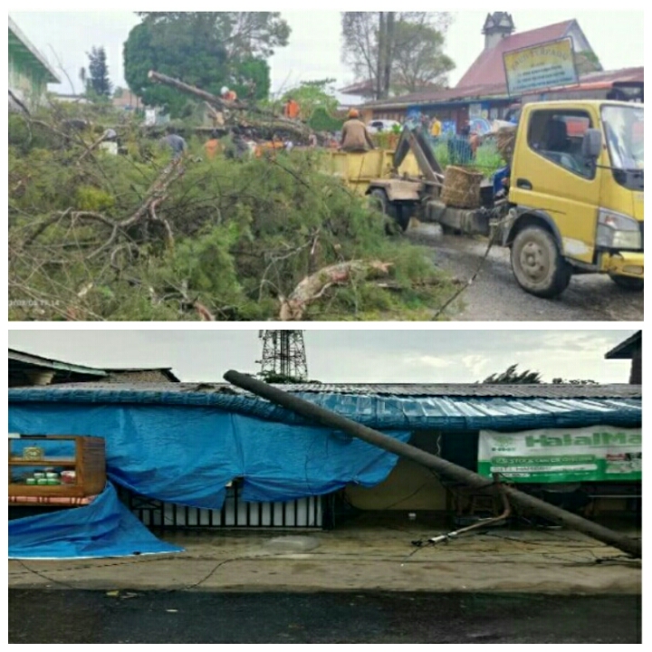 Hujan Deras Disertai Angin Kencang Tumbangkan Pohon dan Tiang Listrik di Sidikalang