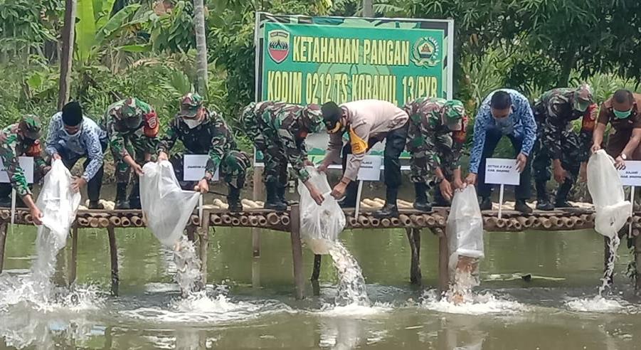 Dandim 0212/Tapsel Tabur Benih Ikan Mas di Mandailing Natal