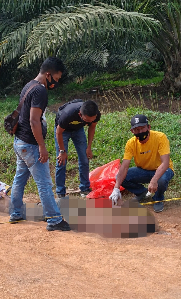 Diduga ODGJ Pria Ditemukan Tewas Terkapar di Lahan Perkebunan Desa Mangkai Lama