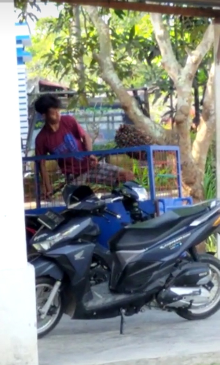 Alih Fungsi Gerobak Sampah Jadi Sorotan Kades Pahang Dinilai Tak Indahkan Program Bupati