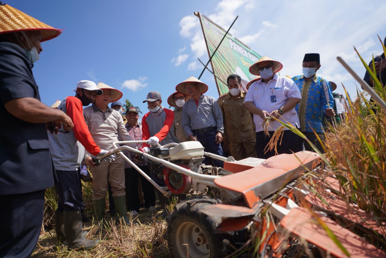 Dorong Produktivitas Pertanian Berikut Dukungan Pemprov Untuk Kepahiang Mulai Alsintan Hingga Benih