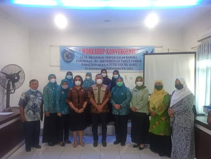 Dinkes Labuhanbatu Gelar Workshop Konvergensi Tujuan Penurunan AKI