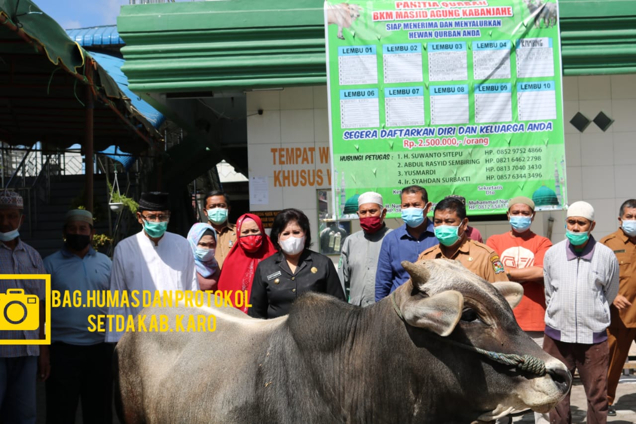 Serahkan Kurban Ini Harapan Bupati Karo Jelang Perayaan Hari Raya Idul Adha