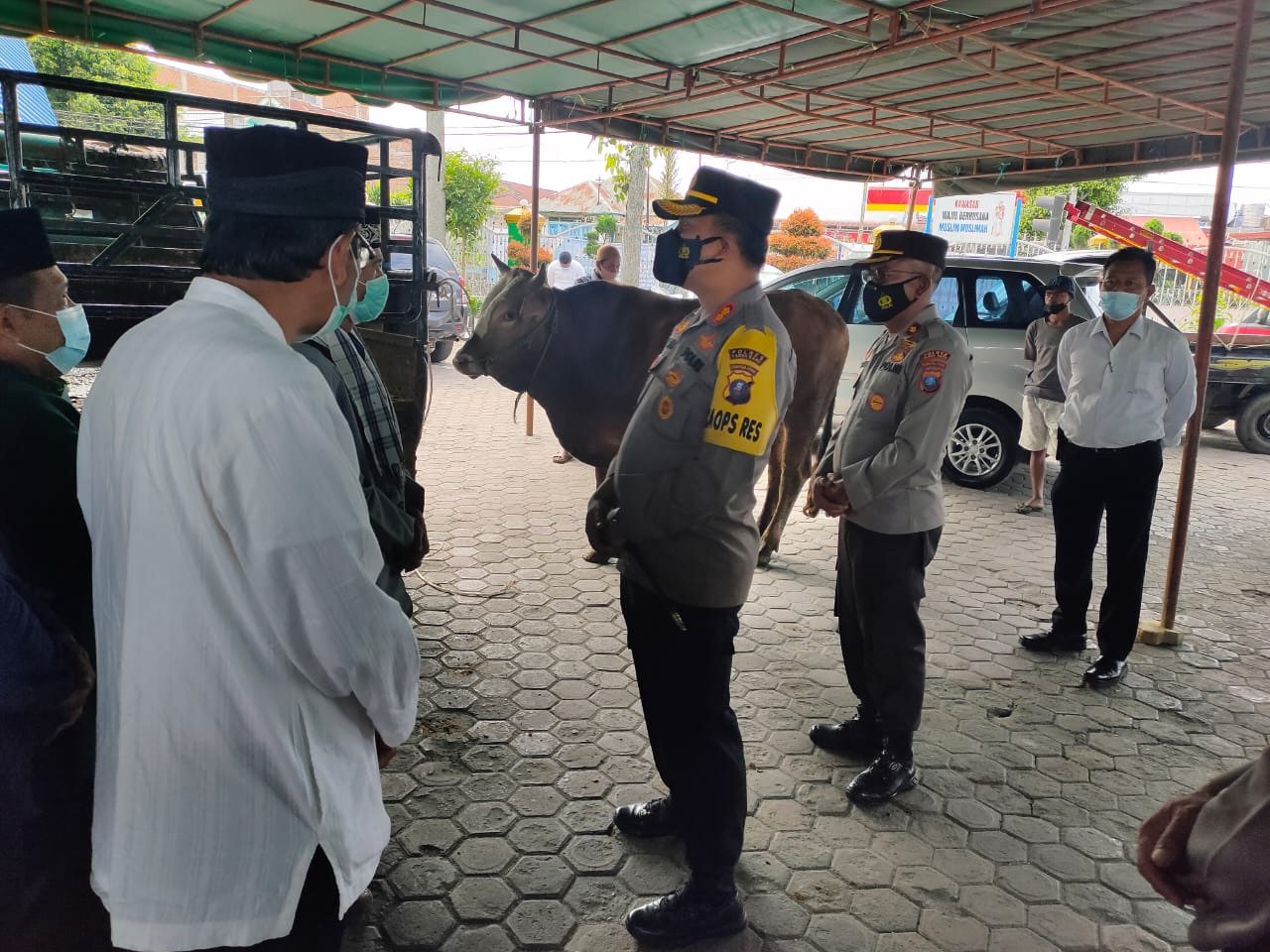 Kapolres Tanah Karo Serahkan Hewan Qurban Ke Masjid Agung