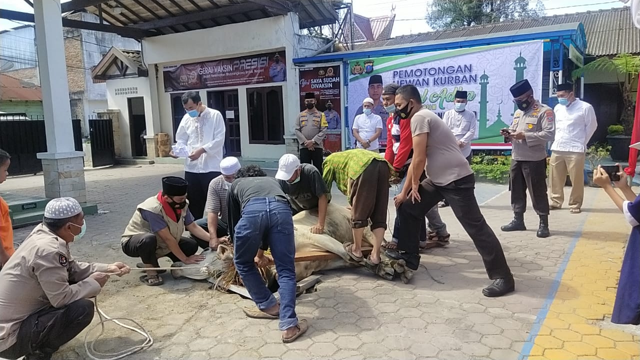 Idul Adha 1442 H Polres Tanah Karo Potong 1 Sapi dan 5 Kambing