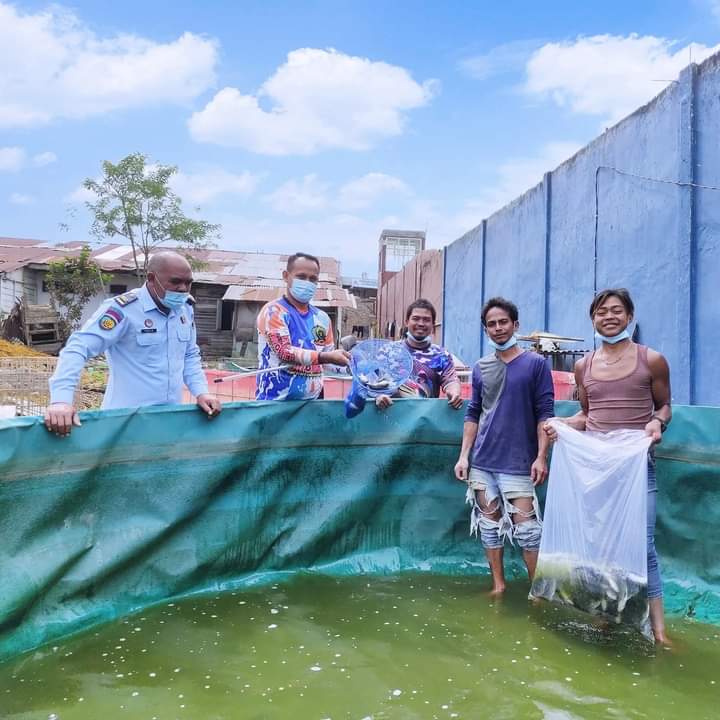 Rutan Kabanjahe Panen Ikan Nila Dengan Metode Bioflog