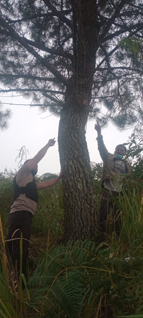 Sakit Tak Kunjung Sembuh Paruh Baya Desa Nagara Nekat Gantung Diri