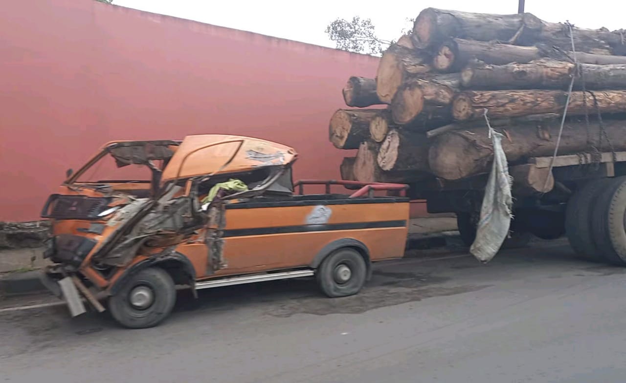 Mobil Hijet Seruduk Truk Pengangkut Kayu Glondongan Satu Orang Meninggal Dunia