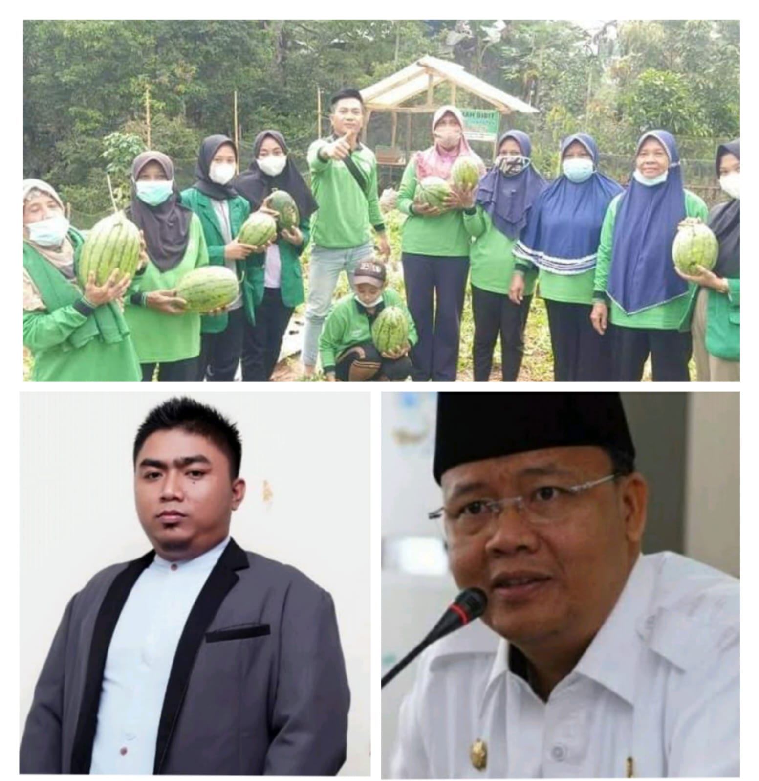 Didukung Gubernur Rohidin KWT Amanah Sukses Kembangkan Tanaman Semangka