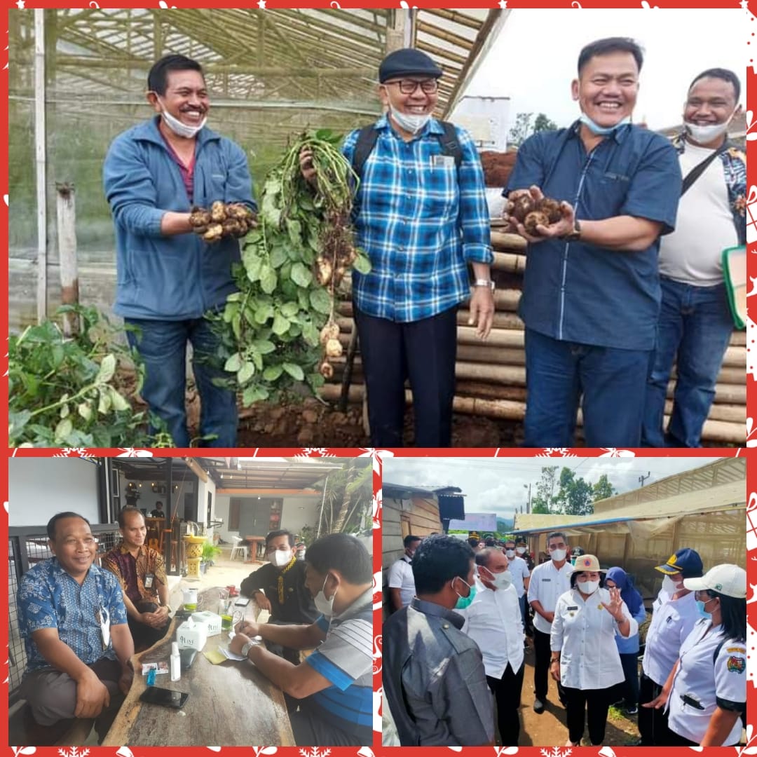 Gubsu Edy Rahmayadi Apresiasi Tanaman Kentang di Tanah Karo
