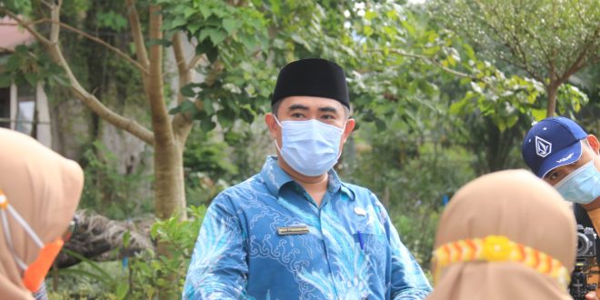 Cuaca Ekstrem Ini Strategi DLH Terkait Insiden Pohon Tumbang