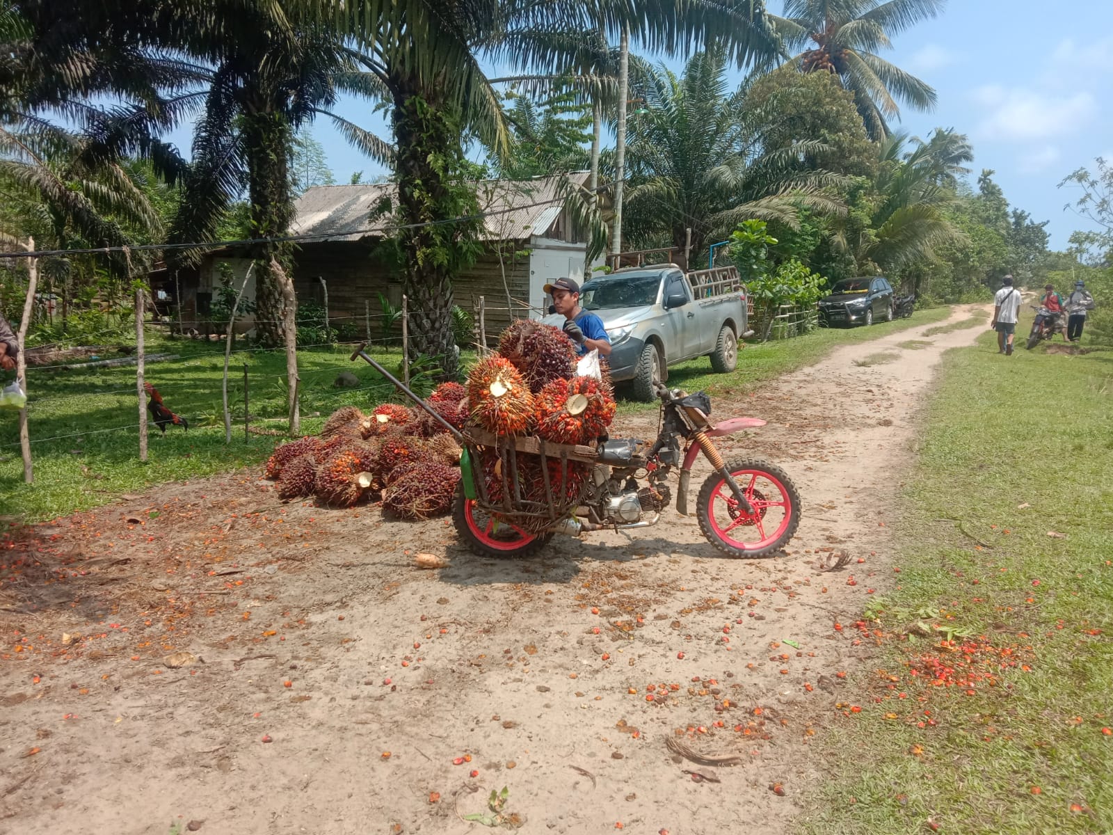 Menyoal Eks Lahan HGU Pemdes dan Warga Jenggalu Minta Pihak Terkait Bersikap