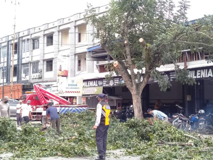 Dishub Labuhanbatu Pangkas Pohon di Sepanjang Jalan Rantauparapat