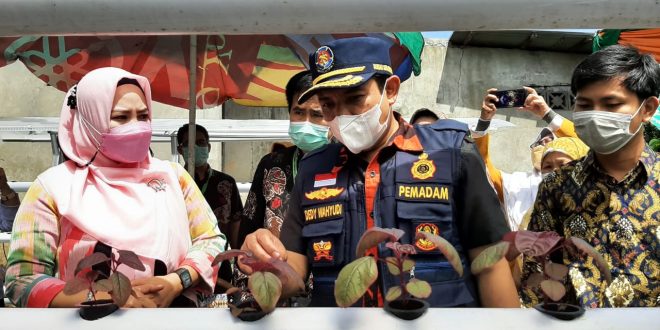 Paket Lengkap Kampung Berseri Anggut Atas Wawali : Ada Bank Sampah dan Hidroponik