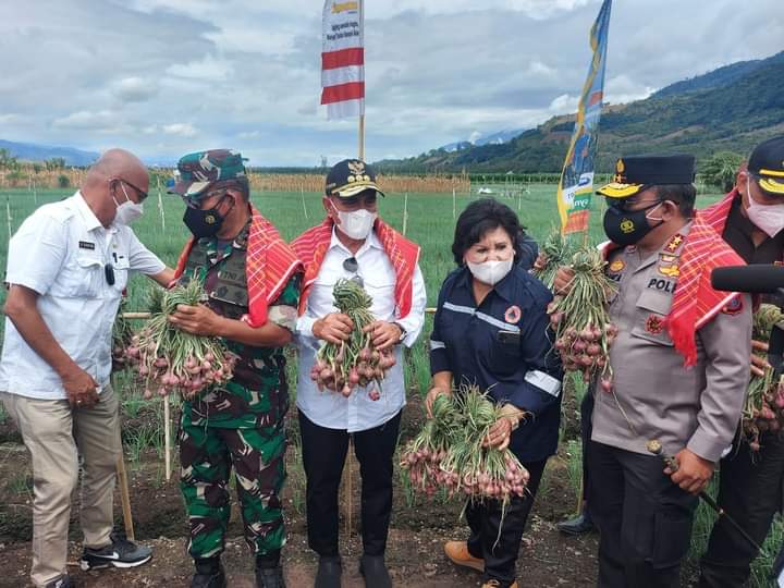 Kapolda Sumut Panen Raya Padi dan Tinjau Tanaman Bawang di Karo