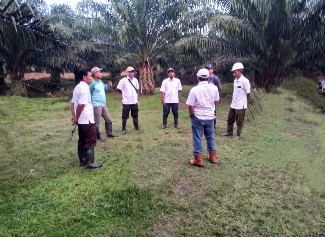 Rutinitas Gotong Royong Tim Tangguh Afdeling II Kebun Sei Silau