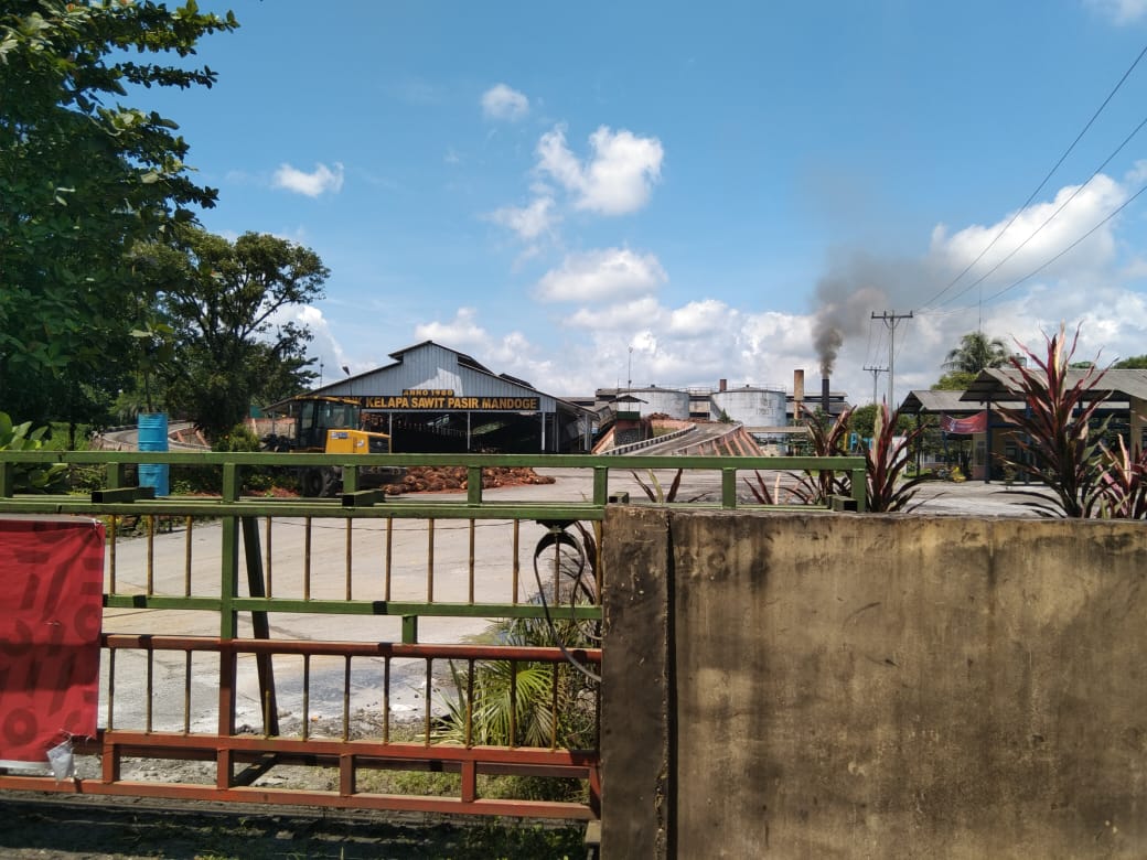 Supir Truk Pengangkut TBS Diduga Gelapkan TBS Milik PTPN IV Kebun Pasir Mandoge