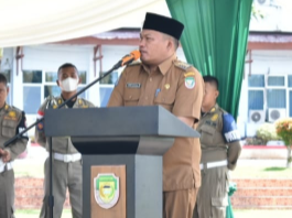 Bupati Erwin Buka Kontes Mobil Dinas