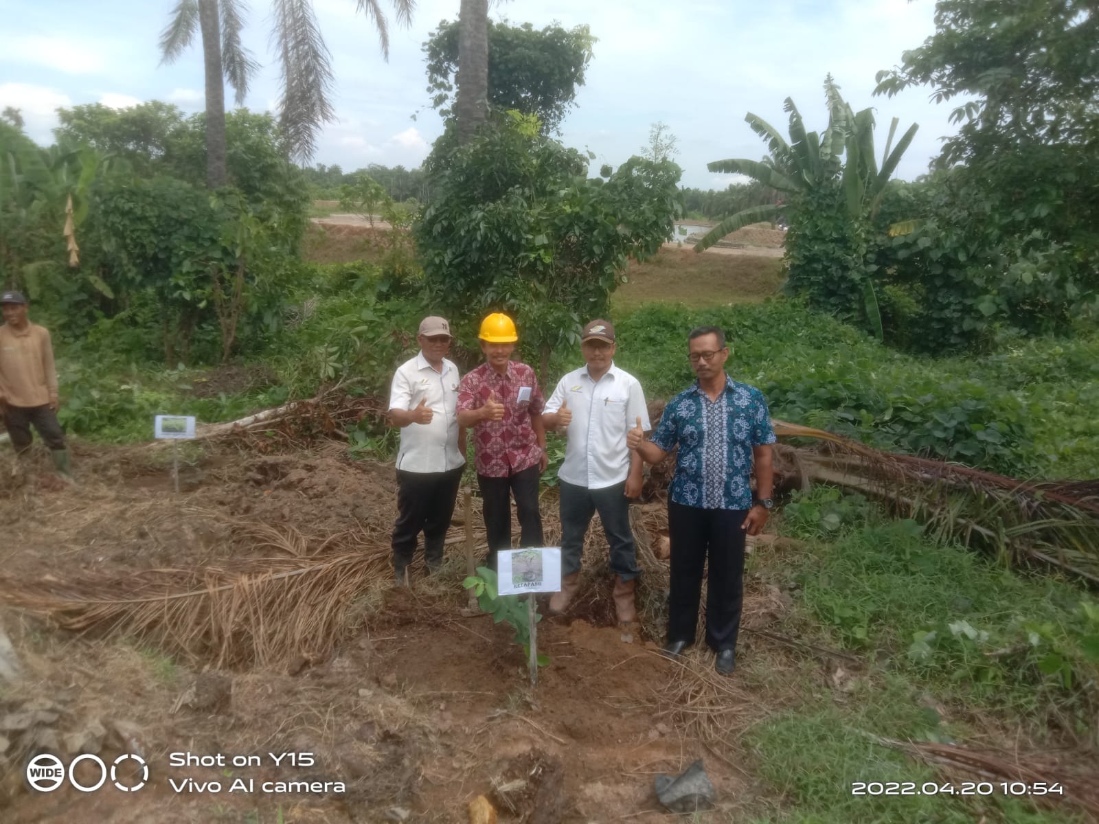 PTPN III Kebun Pulau Mandi Lakukan Penanaman Pohon di Daerah Aliran Sungai