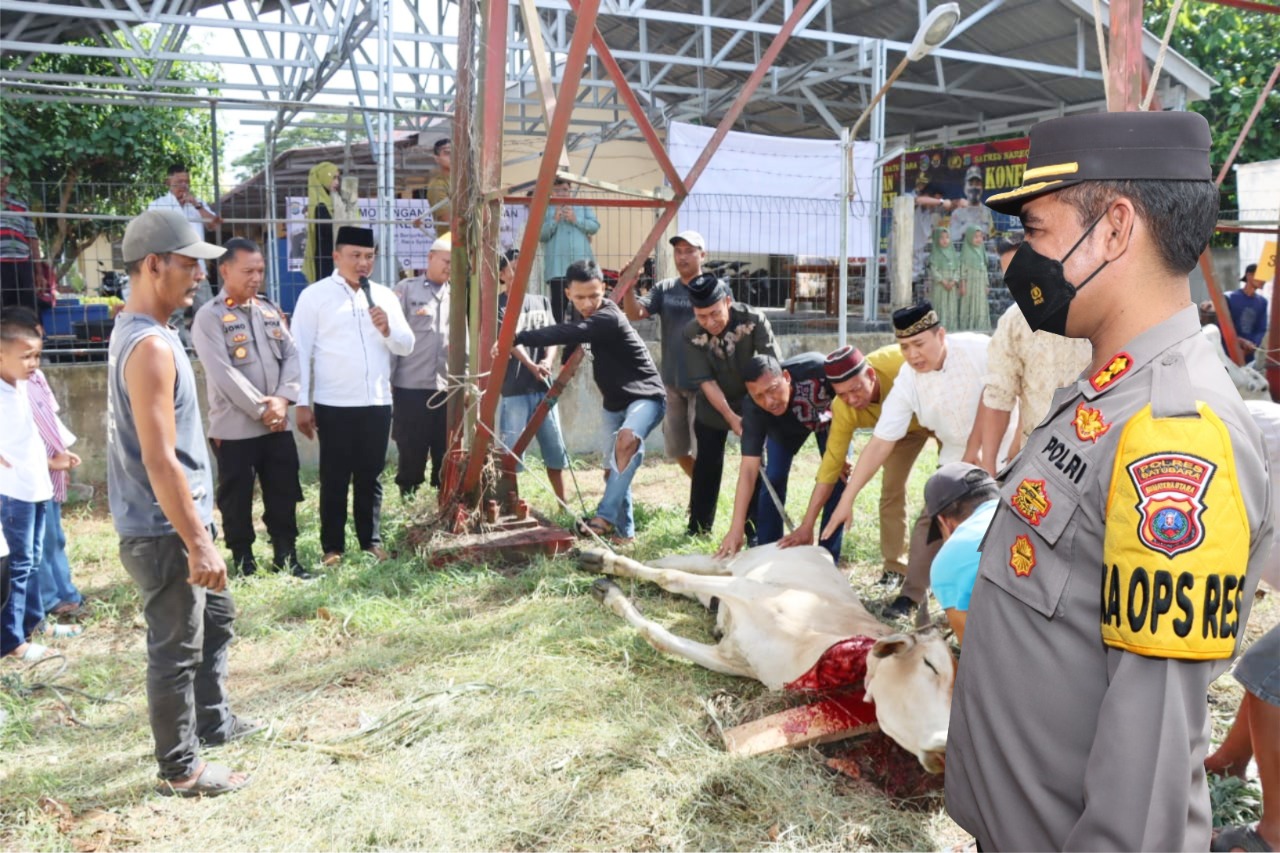 Polres Batu Bara melakukan pemotongan hewan qurban (foto/ist)