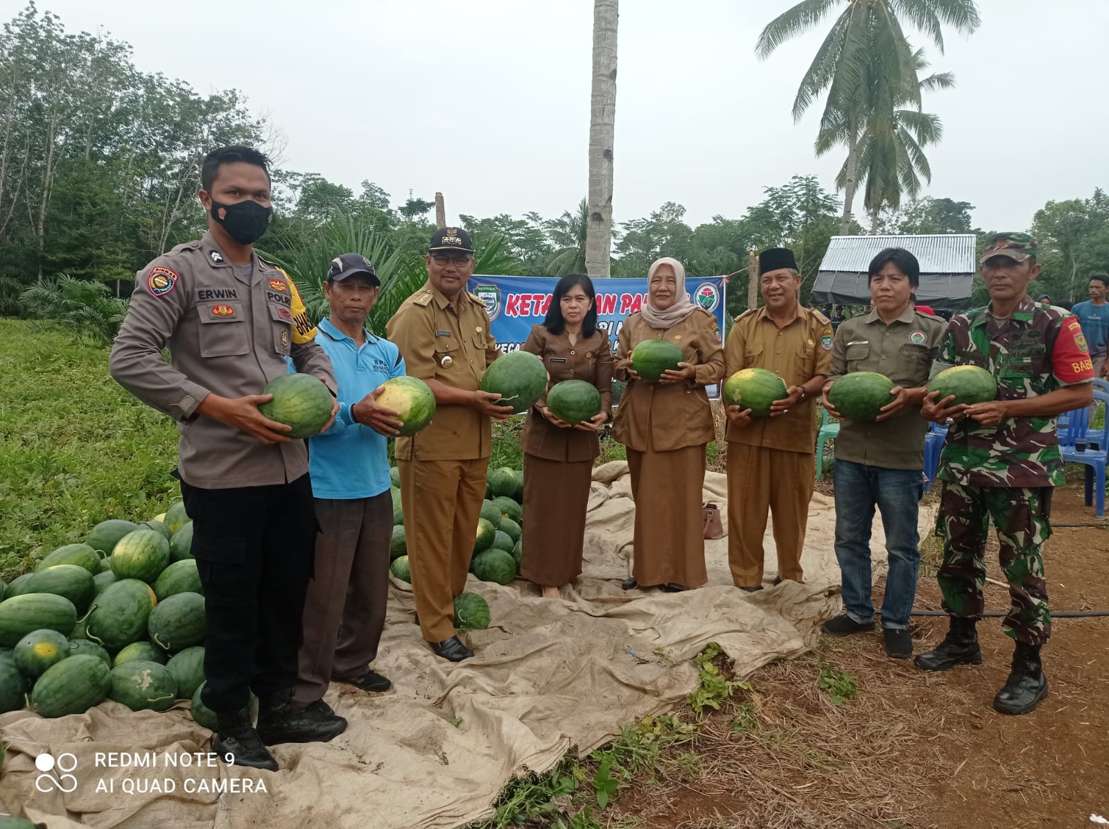Camat Sukaraja Hadiri Panen Semangka Perdana Desa Sari Mulyo