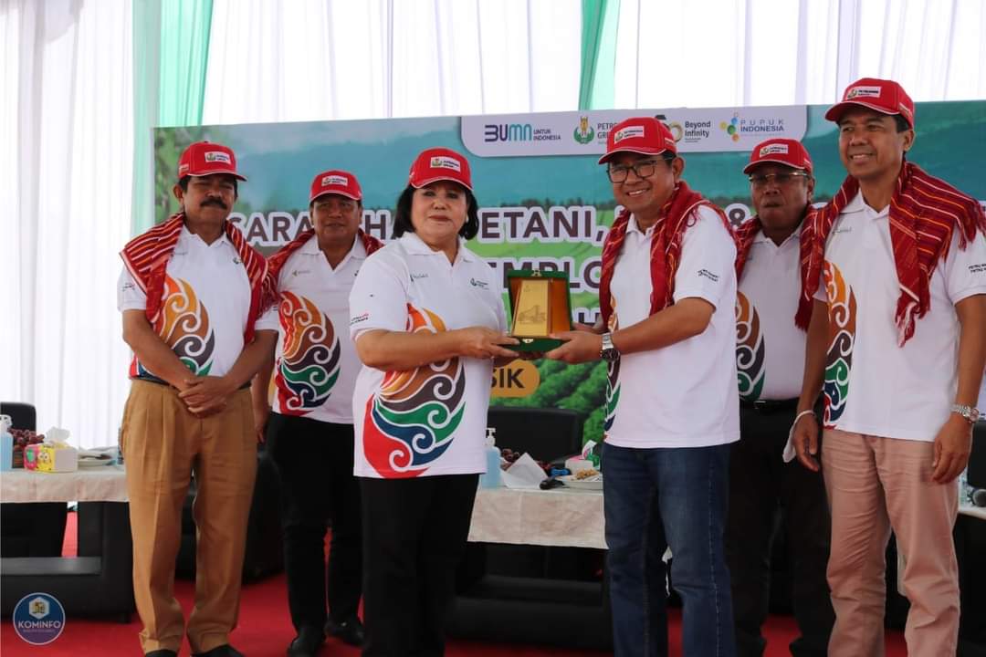 Bupati Karo Hadiri Panen Raya Kentang Demplot Pupuk Phosgreen dan ZA Plus