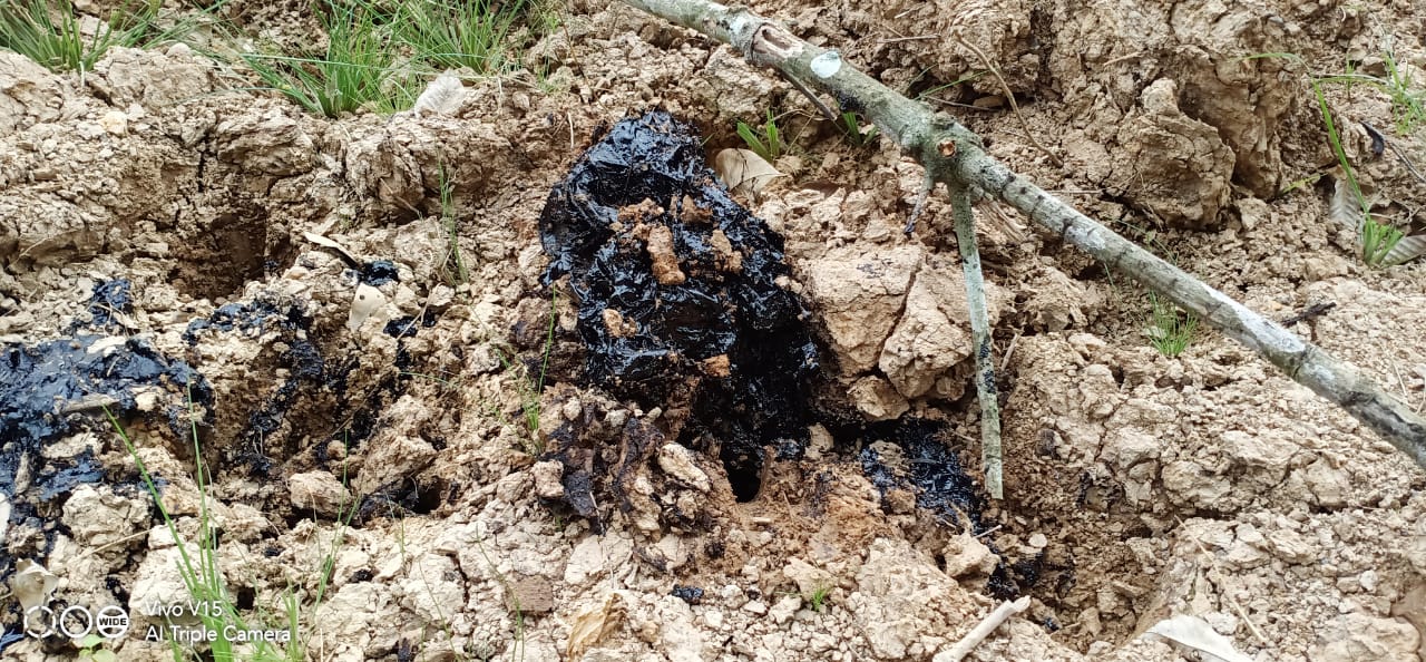 Pertamina Pendopo Field Diduga Lakukan Penimbunan Limbah Minyak